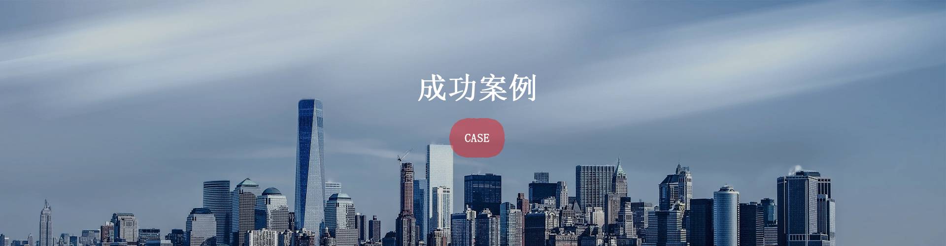 成功案例-蓝奇恩